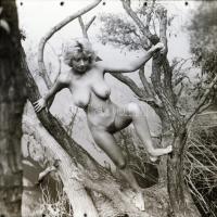 cca 1978 Különféle helyszíneken készült, szolidan erotikus felvételek, 13 db vintage negatív, 6x6 cm...