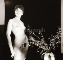cca 1968 Lányok, asszonyok pucéran, 9 db szolidan erotikus felvétel, 6x6 cm és 6x9 cm-es vintage negatívok