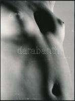 cca 1977 Menesdorfer Lajos (1941-2005) budapesti fotóművész hagyatékából, 2 db jelzés nélküli vintag...