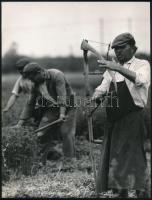 cca 1973 Zsigri Oszkár (1933-?) budapesti fotóművész hagyatékából 3 db vintage fénykép, kettő feliratozott, 24x18 cm