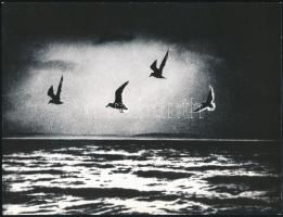 cca 1974 Gebhardt György (1910-1993) budapesti fotóművész hagyatékából 2 db jelzés nélküli vintage f...