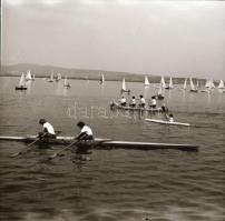 cca 1965 Sinka Antal (?-?) hagyatékából (aki a velencei AGROKOMPLEX fotósa volt az 1960-as, 1970-es ...