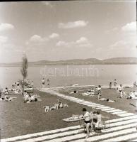 cca 1965 Sinka Antal (?-?) hagyatékából (aki a velencei AGROKOMPLEX fotósa volt az 1960-as, 1970-es ...