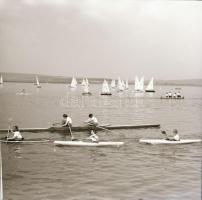 cca 1965 Sinka Antal (?-?) hagyatékából (aki a velencei AGROKOMPLEX fotósa volt az 1960-as, 1970-es ...