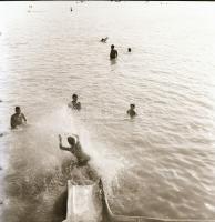 cca 1965 Sinka Antal (?-?) hagyatékából (aki a velencei AGROKOMPLEX fotósa volt az 1960-as, 1970-es ...