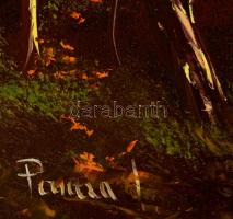 Pancza Ildikó (1984-): Esti fények. Olaj, farost, jelzett, keretben, 20×44 cm