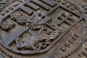 Címeres festett gipsz plakett, "Moneta Vladislai D. E. Regie Ungarie" körirattal, szélén k...