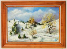 Lantos György (1957-): Téli dombok. Olaj, farost, jelzett, keretben, 40×60 cm