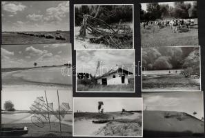 cca 1970 Vincze János (1922-1998) kecskeméti fotóművész fotósorozata a Kunsági Nemzeti Parkról, 55 d...