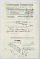 Amerikai Egyesült Államok 1952-1982. 10db-os vegyes részvény tétel, benne "Hospital Corporation...