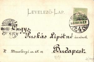 1905 Szomolnok, Schmölnitz, Smolnik; a tűzvész keletkezési helye / general view. photo (EK)