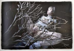 Murata, Kenichi: Secret Dreams of Erotic Princess. h. n., 2016, Edition Reuss. Angol, német, francia...