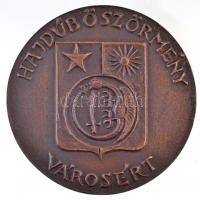 Tóth Sándor (1933-) DN "Hajdúböszörmény Városért" Br emlékplakett dísztokban (100mm) T:2
