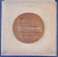 Borsos Miklós (1906-1990) 1977. "Fa és Papíripari Szövetkezetek Szövetsége" Br plakett, er...