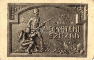 A M. Kir. 1. Honvéd Gyalogezred Egyetemi Század emléktáblájának képe / WWI Hungarian military memorial (EB)