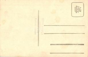 Fehérgyarmat,vadászó úr lovon, muzsikus hegedővel. Suba Mihály photo