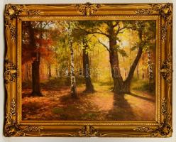 Kostyánfalvy jelzéssel: Napsütés az erdőben. Olaj, vászon, keretben, 60×80 cm