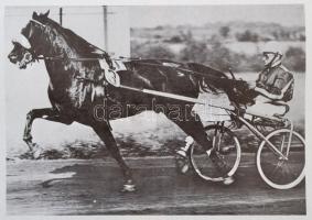 Az ügetőpálya 40 éve. Szerk.: Fehér Dezső. [Bp.], [1973], Magyar Lóverseny Vállalat. Tűzött papírköt...