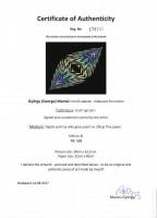 Marosi György (1964- ): Irizáló alakzat, elektrográfia, papír, jelzett, számozott (1/6), eredetiségi...