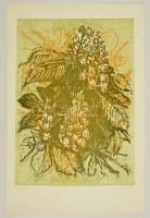 Somlai Vilma (1938-2007): Gesztenye. Színes linó, papír, jelzett, 47×34 cm