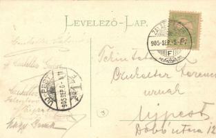 Zalaegerszeg, utcakép, Fülöp János könyvárus és könyvkötő üzlete és saját kiadása. floral Art Nouvea...