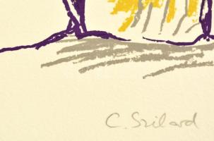 Szilárd Klára (1921-): Kíváncsi. Színes szitanyomat, papír, jelzett, 54×36 cm