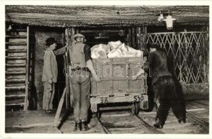 Aknaszlatina, Slatinské Doly, Solotvyno; Sószállítás a bányából, csille / salt transporting from the mine, mine cart