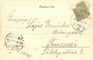 Arad, Szentháromság szobor, 1848-1849 Múzeum, Neumann M.  üzlete, Nagy Lajos szállodája a Fehér Kere...