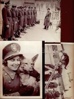 3 db fotó szocialista ország kutyás fegyveres erőinek kiképzéséről 18x13 cm