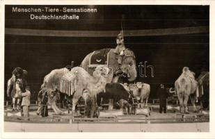 Berlin, Deutschlandhalle, Menschen-Tiere-Sensationen / circus attraction with elephants and camels