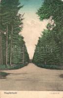 8 db RÉGI magyar és történelmi magyar városképes lap, vegyes minőség / 8 pre-1945 Hungarian and hist...