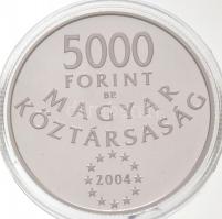 2004. 5000Ft Ag "Magyarország az Európai Unió tagja" tanúsítvánnyal T:PP 
Adamo EM190