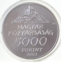 2003. 5000Ft Ag "Hollókő" T:BU
Adamo EM185