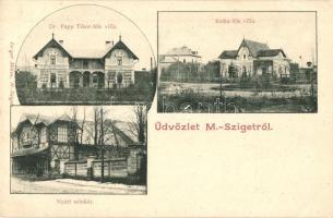 Máramarossziget, Sighetu Marmatei; Dr. Papp Tibor-féle villa, Kutka-féle villa, Nyári színkör. Berger Miksa kiadása / villas, summer theater (EK)