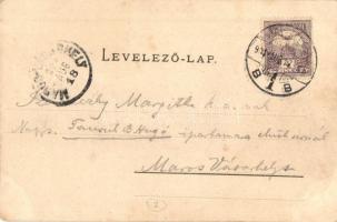 Nagyszeben, Hermannstadt, Sibiu; Stadt-Theater und Hartenecktürme. Verl. d. Buchh. G. A. Seraphin, L...