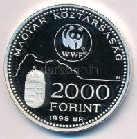 1998. 2000Ft Ag "WWF - Óvd a természetet" T:PP 
Adamo EM154