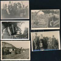 1931-1936 Mikepércsi szüret, 4 db fotó, 9x6 cm