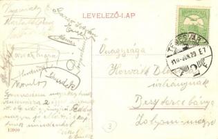 Temesvár, Timisoara; Gyárváros. Liget út / street view (EK)