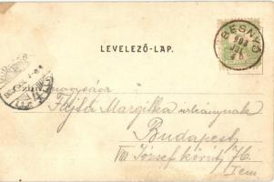 Gödöllő, Ferenc József király és vadásztársasága lelőtt fácánokkal / Le roi et sa compagnie de chass...