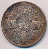 1880. "Az Aradi I. Átalános Ipartársulat Kiállitása - Emlék érem" fém emlékérem (50mm) T:2...