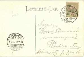 Keszthely, Festetics utca és palota, Hévízi lótuszvirág, gyógyszertár, montázs művészlap. Vasvári Jó...