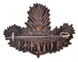 ~1914-1918. "Kövess"  fém jelvény "ARKANZAS" gyártói jelzéssel (28x35mm) T:2