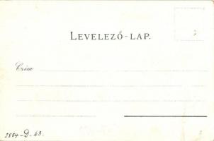 1899 Kaposvár, Vármegyeháza, takarékpénztár, régi gimnázium, új főgimnázium, államvasúti tápintézet,...