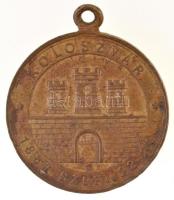 1887. "Kolozsvár / Hódolat a magyar királynak" Br emlékérem füllel (32mm) T:2 ph., karc