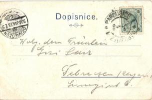 Pardubice, Radnice / town hall. Otto & Ruzicka Art Nouveau, floral, litho