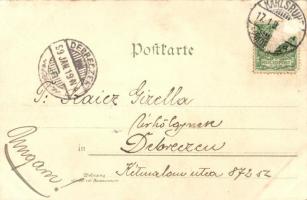 1899 Karlsruhe, Techn. Hochschule / school, Studentica. coat of arms. Ottmar Zieher floral, litho (E...