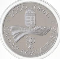 1996. 2000Ft Ag "Ötvenéves a Forint" T:PP
Adamo EM144
