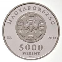 2014. 5000Ft Ag "Fáy András" T:PP