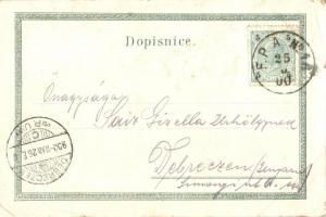 Turnov, Frydstein, Trosky, Hruba Skála, Lázné Sedmihorské / castles. Antonin Werich's Art Nouve...