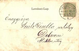 Kolozsvár, Cluj; erdős litho keret. Rigó Árpád kiadása / forest frame, litho (kissé ázott / slightly...